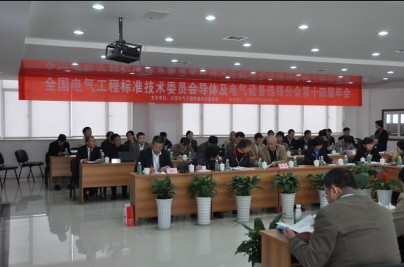 全国电气工程尺度技术委员会导体及电气设备选择分会2010年会在pp电子模拟器成功进行