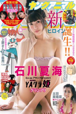 电视剧烈火金刚