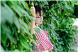 绫濑遥电视剧