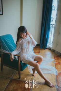女佣变凤凰