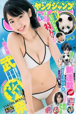 梯阵阴谋
