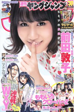 电视剧新女婿时代