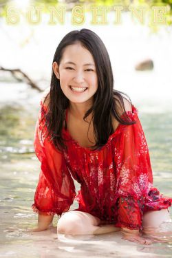 金装四大才子演员表