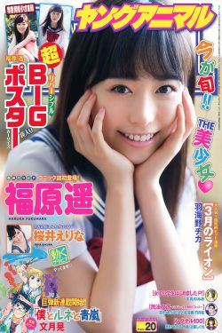 伍六七第三季免费观看