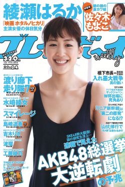 大清盐商 电视剧